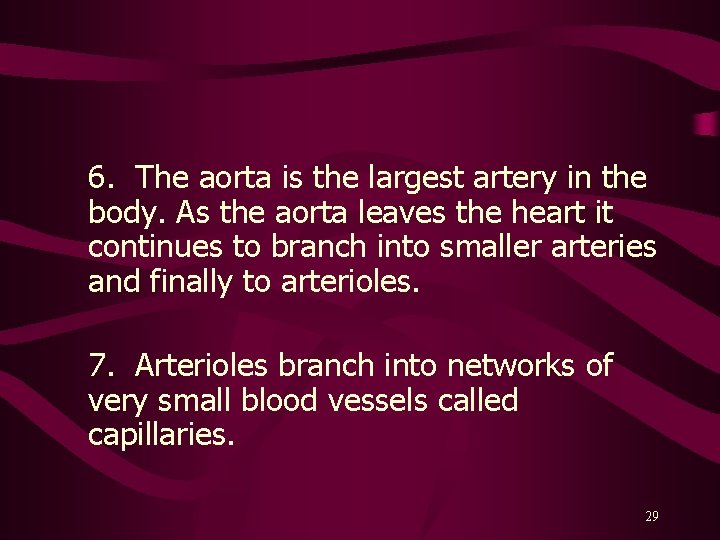 6. The aorta is the largest artery in the body. As the aorta leaves