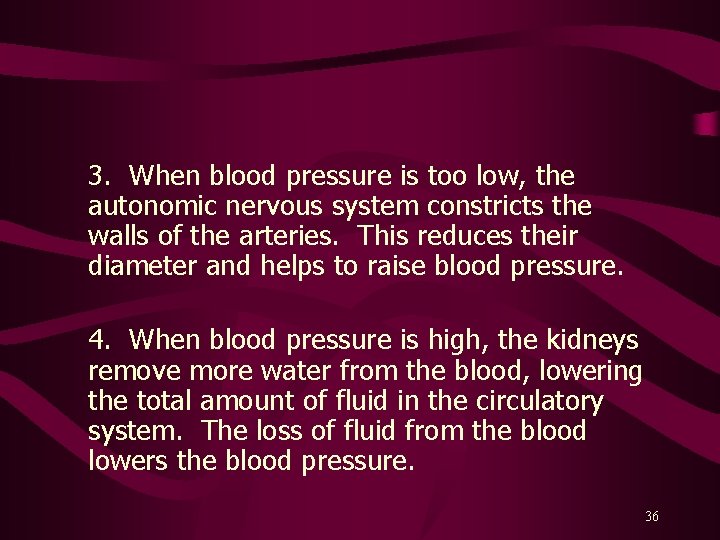 3. When blood pressure is too low, the autonomic nervous system constricts the walls