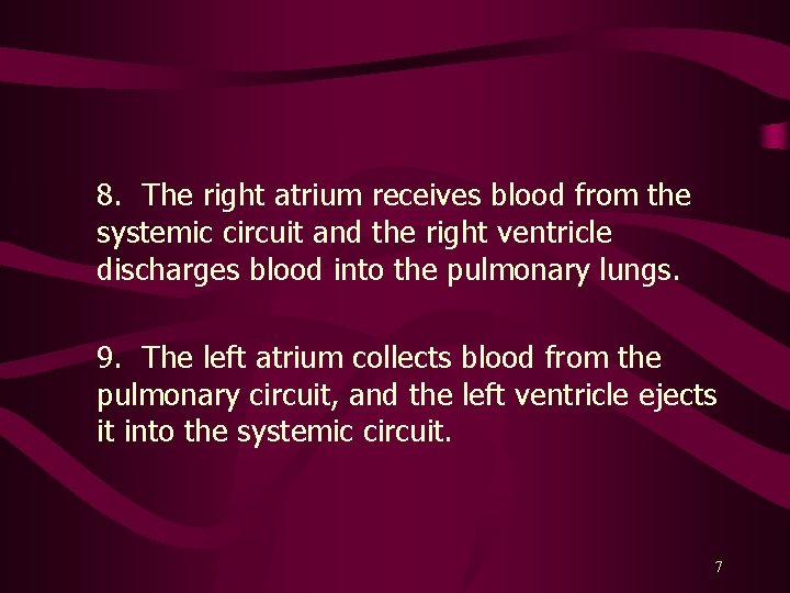 8. The right atrium receives blood from the systemic circuit and the right ventricle