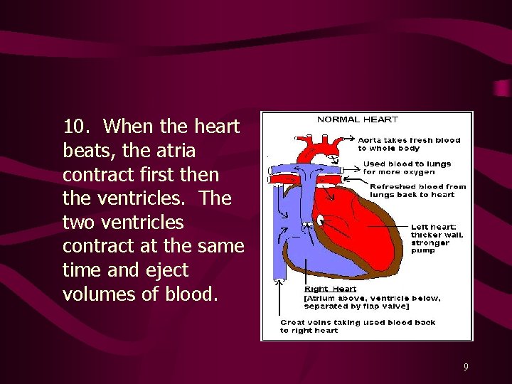 10. When the heart beats, the atria contract first then the ventricles. The two