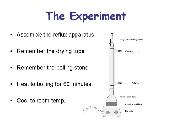 The Experiment • Assemble the reflux apparatus • Remember the drying tube • Remember