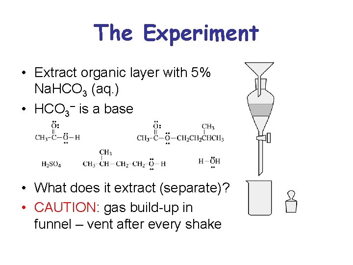 The Experiment • Extract organic layer with 5% Na. HCO 3 (aq. ) •