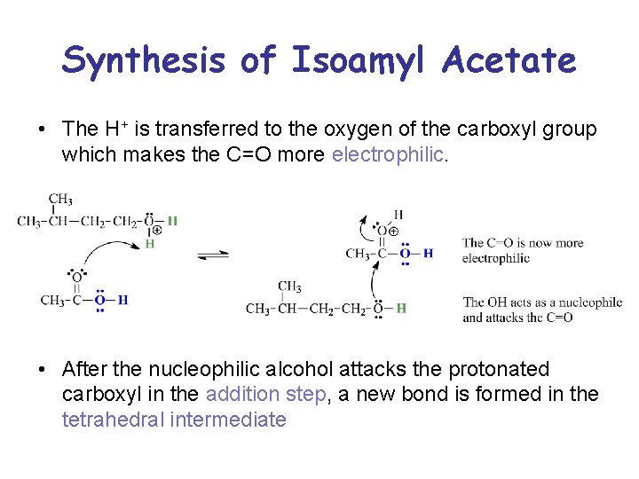 Synthesis of Isoamyl Acetate • The H+ is transferred to the oxygen of the