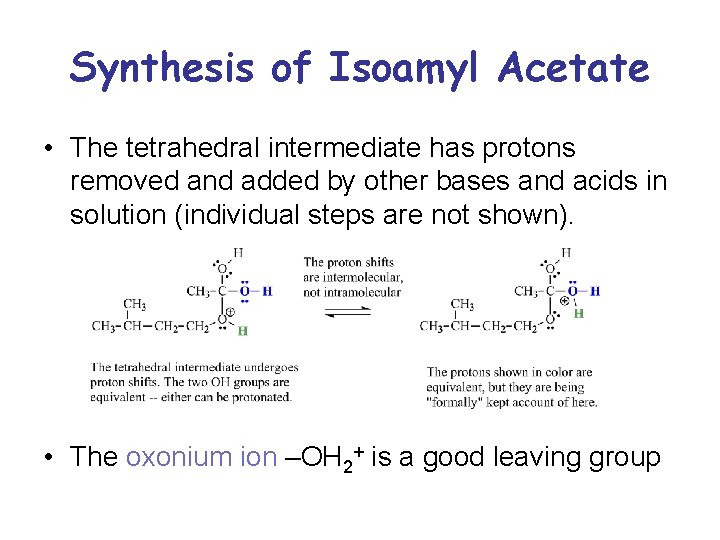 Synthesis of Isoamyl Acetate • The tetrahedral intermediate has protons removed and added by