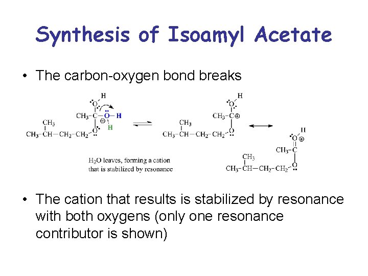 Synthesis of Isoamyl Acetate • The carbon-oxygen bond breaks • The cation that results