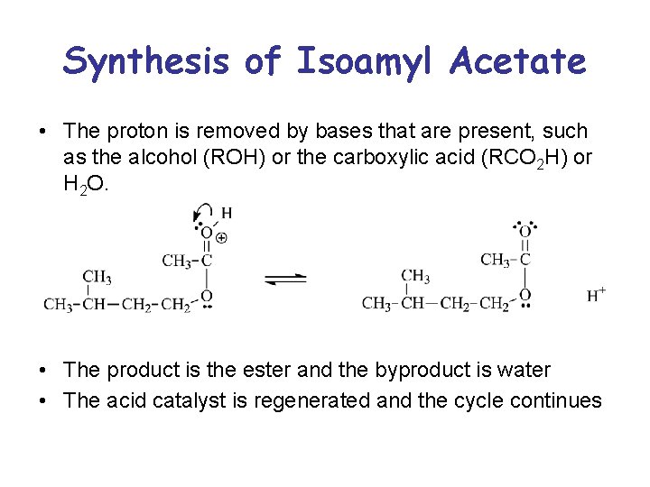 Synthesis of Isoamyl Acetate • The proton is removed by bases that are present,