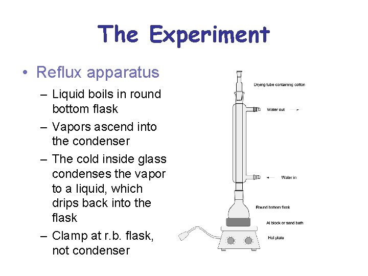 The Experiment • Reflux apparatus – Liquid boils in round bottom flask – Vapors