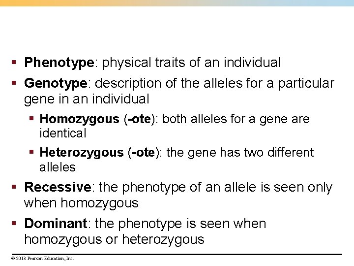 § Phenotype: physical traits of an individual § Genotype: description of the alleles for