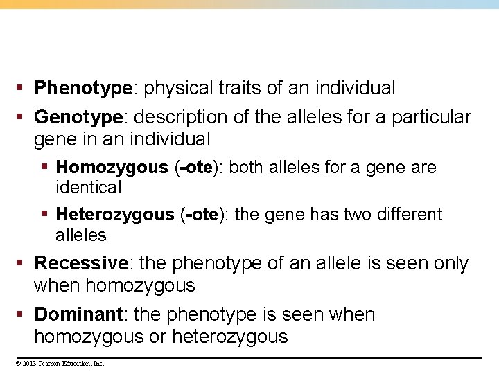 § Phenotype: physical traits of an individual § Genotype: description of the alleles for