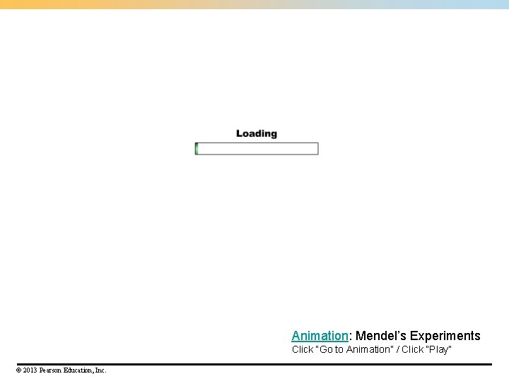 Animation: Mendel’s Experiments Click “Go to Animation” / Click “Play” © 2013 Pearson Education,