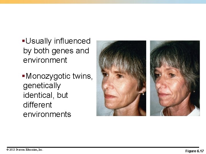 §Usually influenced by both genes and environment §Monozygotic twins, genetically identical, but different environments