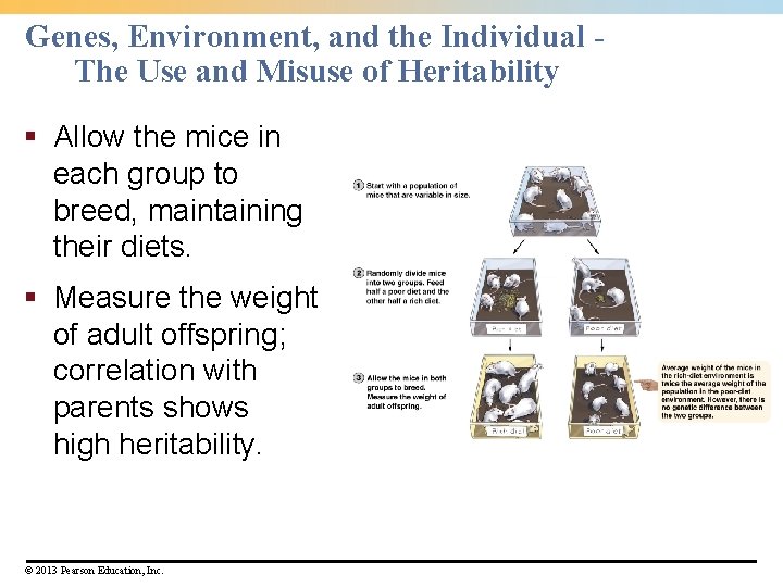 Genes, Environment, and the Individual The Use and Misuse of Heritability § Allow the