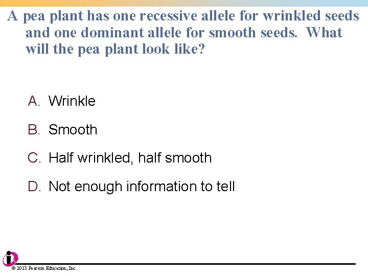 A pea plant has one recessive allele for wrinkled seeds and one dominant allele