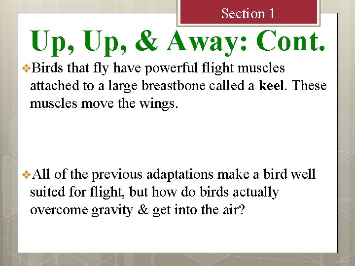 Section 1 Up, & Away: Cont. v. Birds that fly have powerful flight muscles