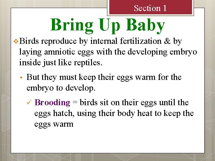 Section 1 Bring Up Baby v Birds reproduce by internal fertilization & by laying