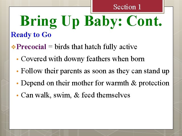 Section 1 Bring Up Baby: Cont. Ready to Go v Precocial = birds that