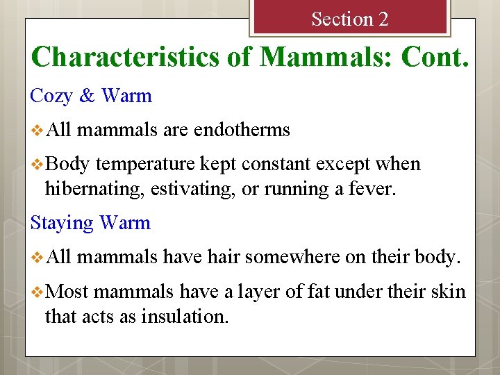 Section 2 Characteristics of Mammals: Cont. Cozy & Warm v All mammals are endotherms