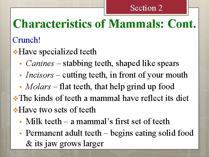 Section 2 Characteristics of Mammals: Cont. Crunch! v. Have specialized teeth • Canines –