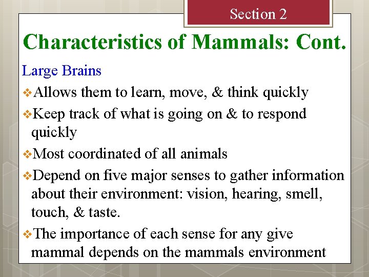 Section 2 Characteristics of Mammals: Cont. Large Brains v. Allows them to learn, move,