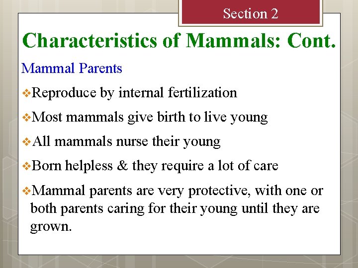 Section 2 Characteristics of Mammals: Cont. Mammal Parents v. Reproduce v. Most v. All