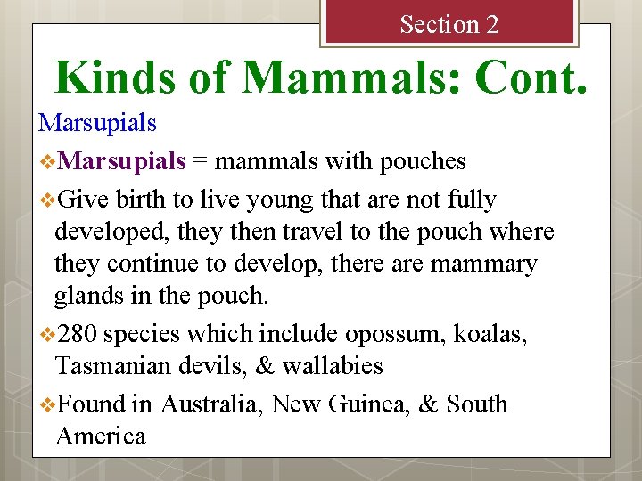 Section 2 Kinds of Mammals: Cont. Marsupials v. Marsupials = mammals with pouches v.