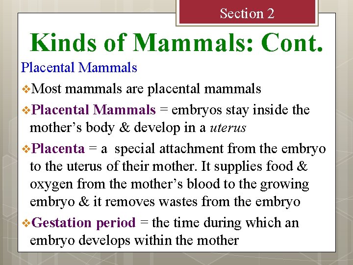 Section 2 Kinds of Mammals: Cont. Placental Mammals v. Most mammals are placental mammals