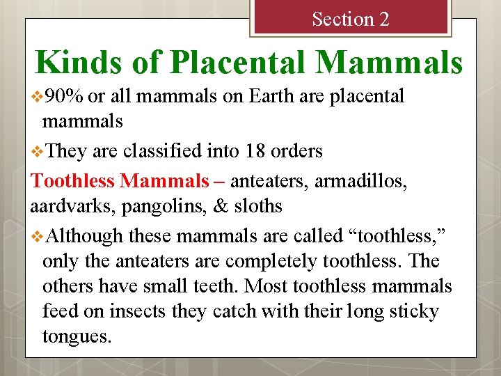 Section 2 Kinds of Placental Mammals v 90% or all mammals on Earth are