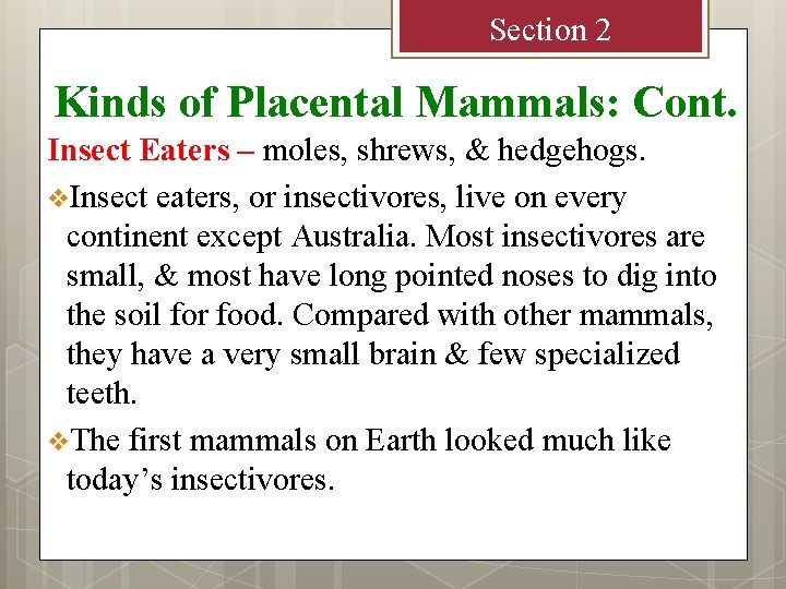 Section 2 Kinds of Placental Mammals: Cont. Insect Eaters – moles, shrews, & hedgehogs.