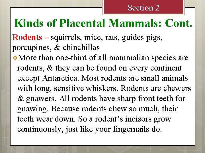 Section 2 Kinds of Placental Mammals: Cont. Rodents – squirrels, mice, rats, guides pigs,