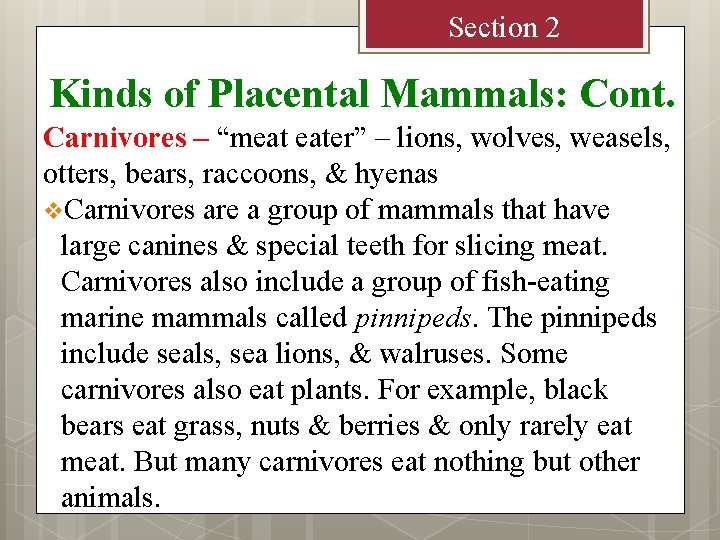 Section 2 Kinds of Placental Mammals: Cont. Carnivores – “meat eater” – lions, wolves,