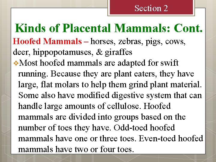 Section 2 Kinds of Placental Mammals: Cont. Hoofed Mammals – horses, zebras, pigs, cows,