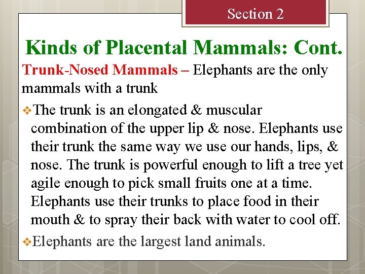 Section 2 Kinds of Placental Mammals: Cont. Trunk-Nosed Mammals – Elephants are the only