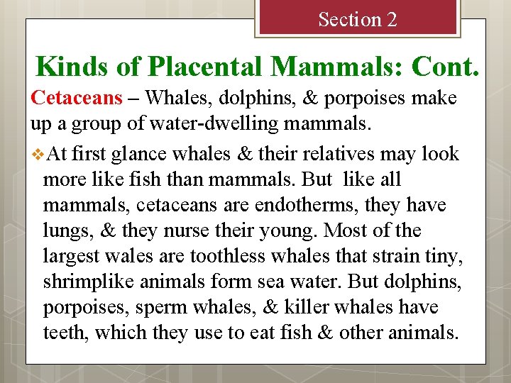 Section 2 Kinds of Placental Mammals: Cont. Cetaceans – Whales, dolphins, & porpoises make