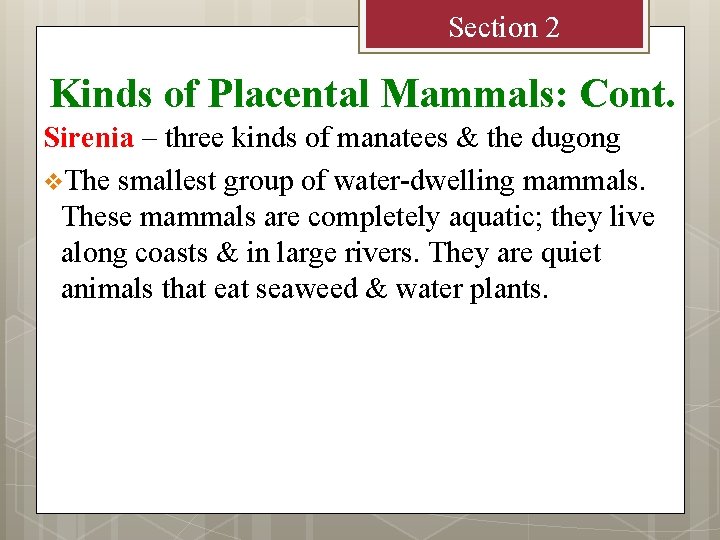 Section 2 Kinds of Placental Mammals: Cont. Sirenia – three kinds of manatees &