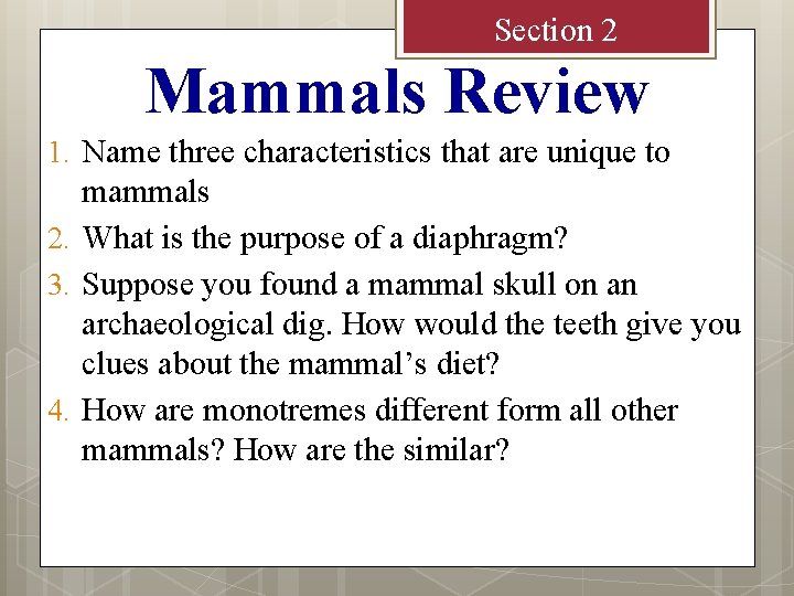 Section 2 Mammals Review 1. Name three characteristics that are unique to mammals 2.