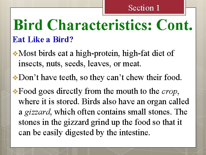 Section 1 Bird Characteristics: Cont. Eat Like a Bird? v Most birds eat a