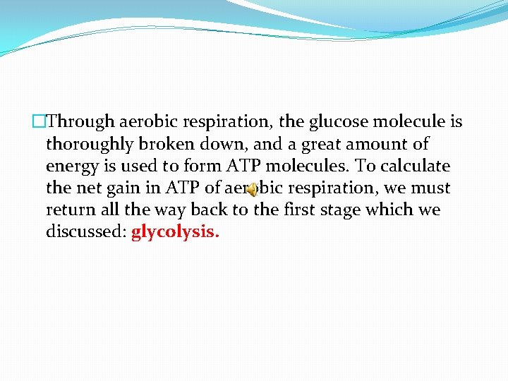 �Through aerobic respiration, the glucose molecule is thoroughly broken down, and a great amount