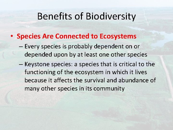 Benefits of Biodiversity • Species Are Connected to Ecosystems – Every species is probably