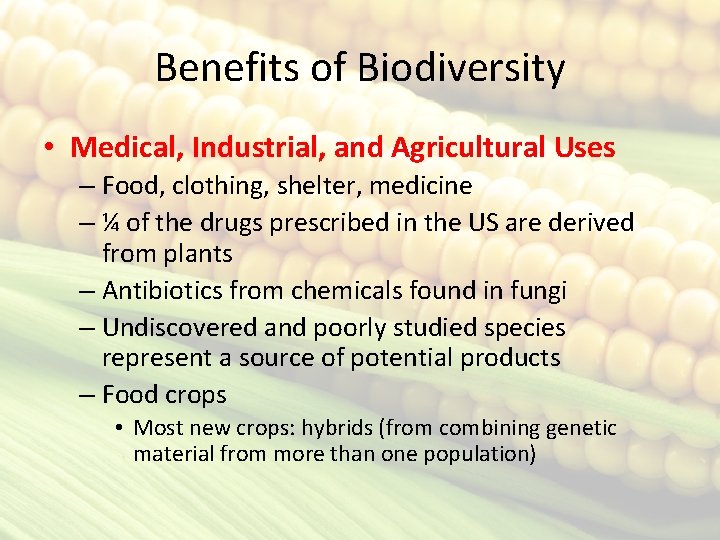 Benefits of Biodiversity • Medical, Industrial, and Agricultural Uses – Food, clothing, shelter, medicine