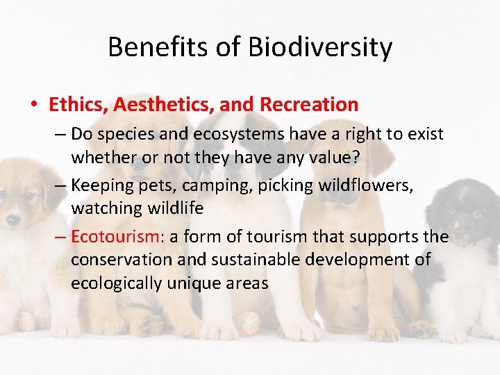 Benefits of Biodiversity • Ethics, Aesthetics, and Recreation – Do species and ecosystems have