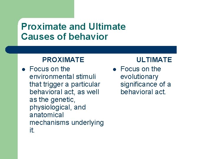 Proximate and Ultimate Causes of behavior l PROXIMATE Focus on the environmental stimuli that