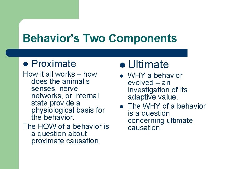 Behavior’s Two Components l Proximate How it all works – how does the animal’s