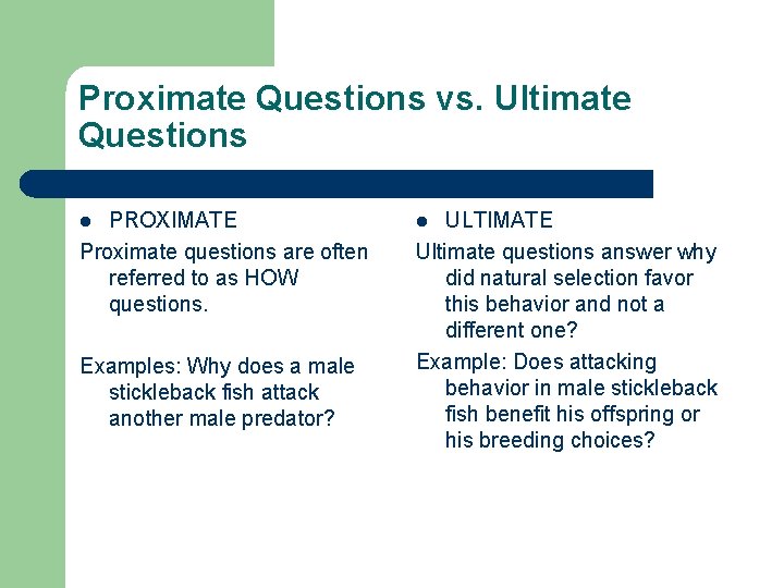 Proximate Questions vs. Ultimate Questions PROXIMATE Proximate questions are often referred to as HOW