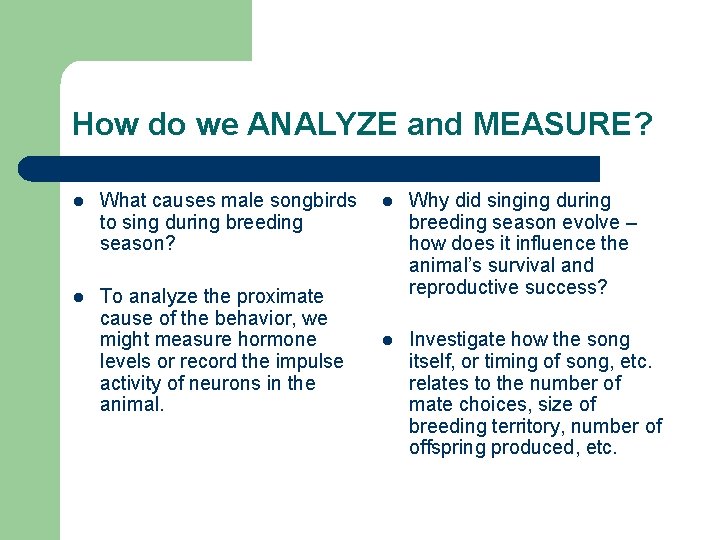 How do we ANALYZE and MEASURE? l What causes male songbirds to sing during