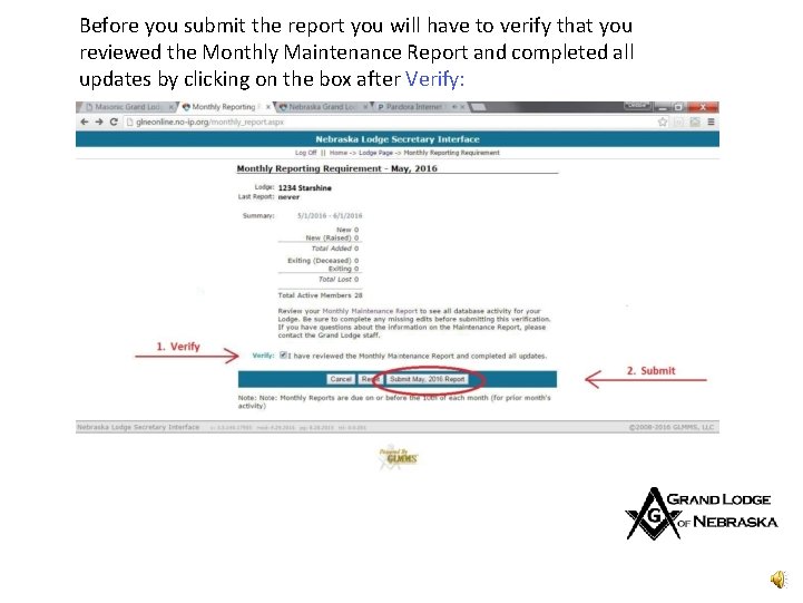 Before you submit the report you will have to verify that you reviewed the