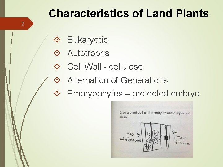 Characteristics of Land Plants 2 Eukaryotic Autotrophs Cell Wall - cellulose Alternation of Generations