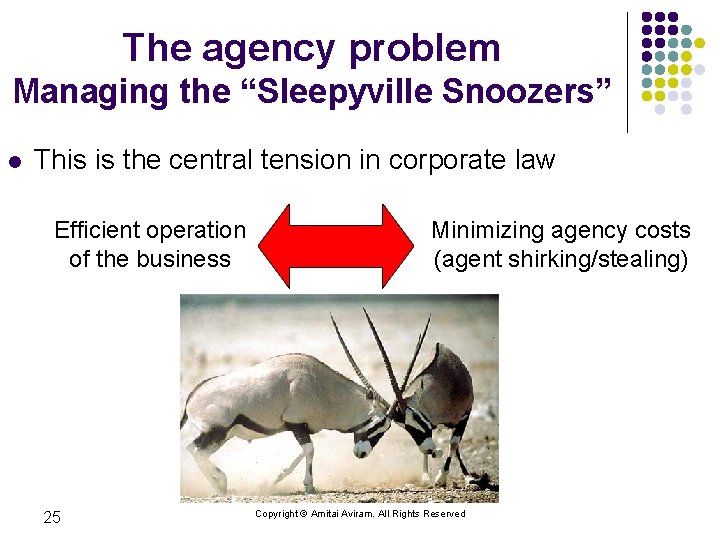 The agency problem Managing the “Sleepyville Snoozers” l This is the central tension in