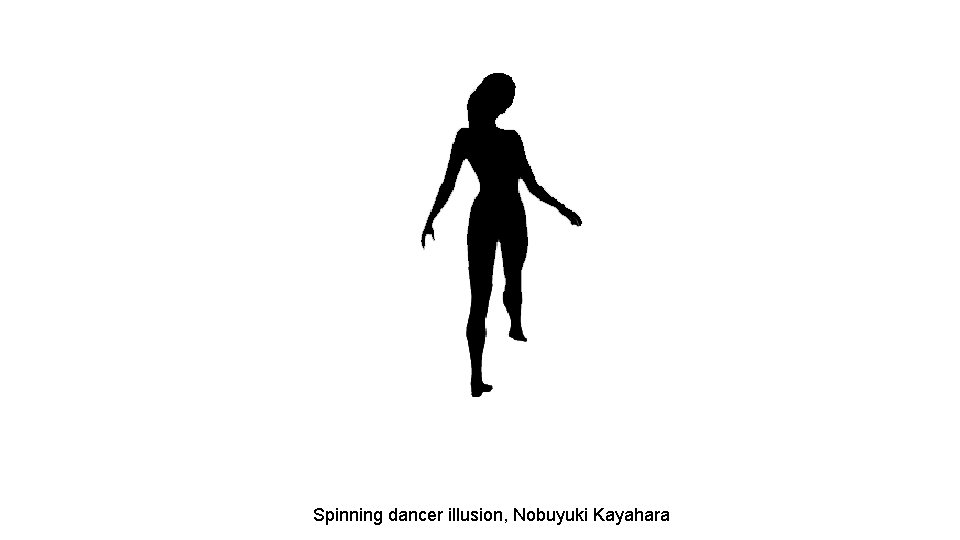 Spinning dancer illusion, Nobuyuki Kayahara 