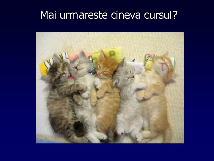 Mai urmareste cineva cursul? 
