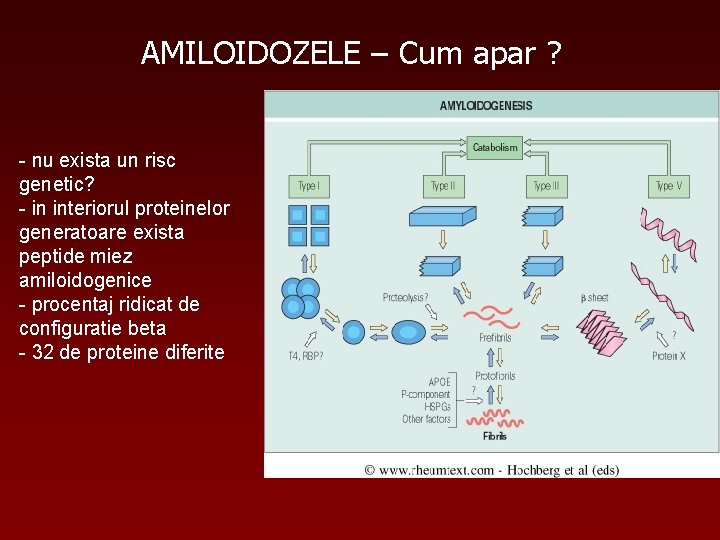 AMILOIDOZELE – Cum apar ? - nu exista un risc genetic? - in interiorul